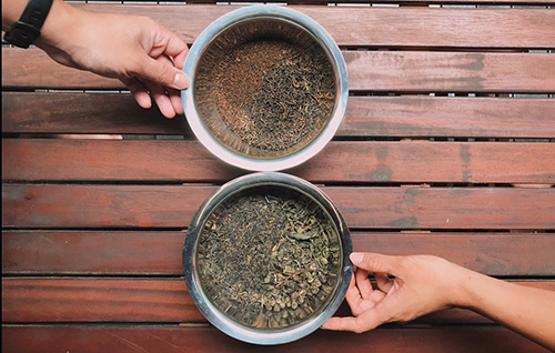 Steeping Tea