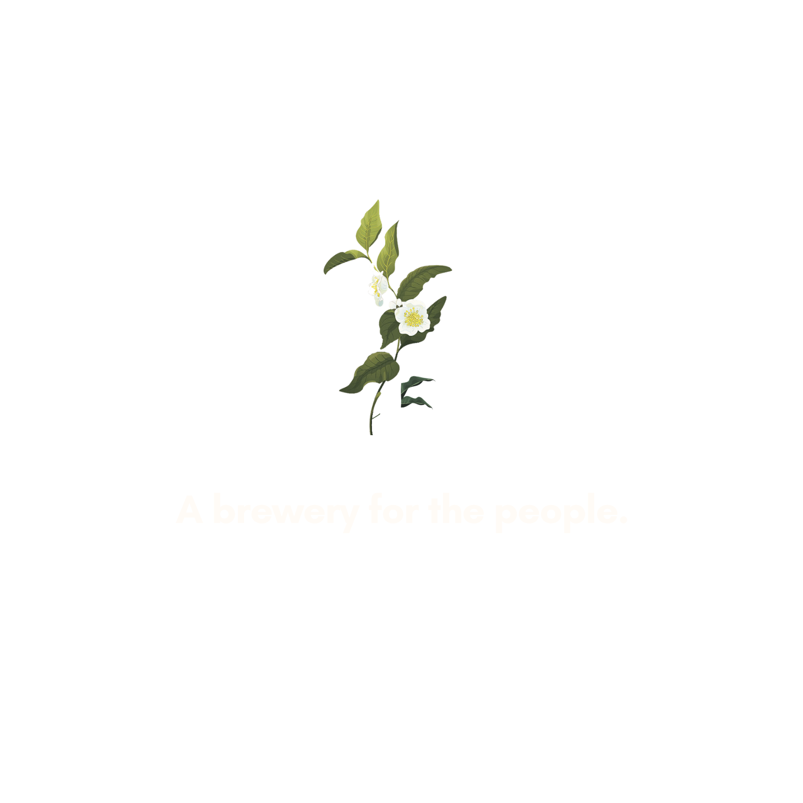 KIN Logo